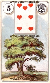 Baum Lenormand Bedeutung antike Dondorf Lenormandkarten
